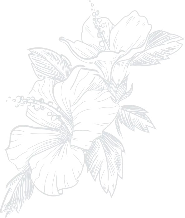 vector